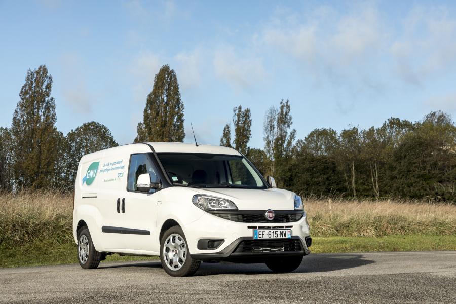  Fiat Doblo Cargo Maxi Natural Power (263) 2017 года  (фото 4 из 12)